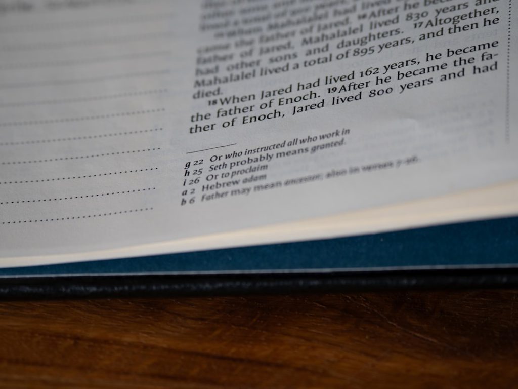 מיסוי יזמים ושכירים ב-2025: עדכונים חשובים והמלצות מעשיות